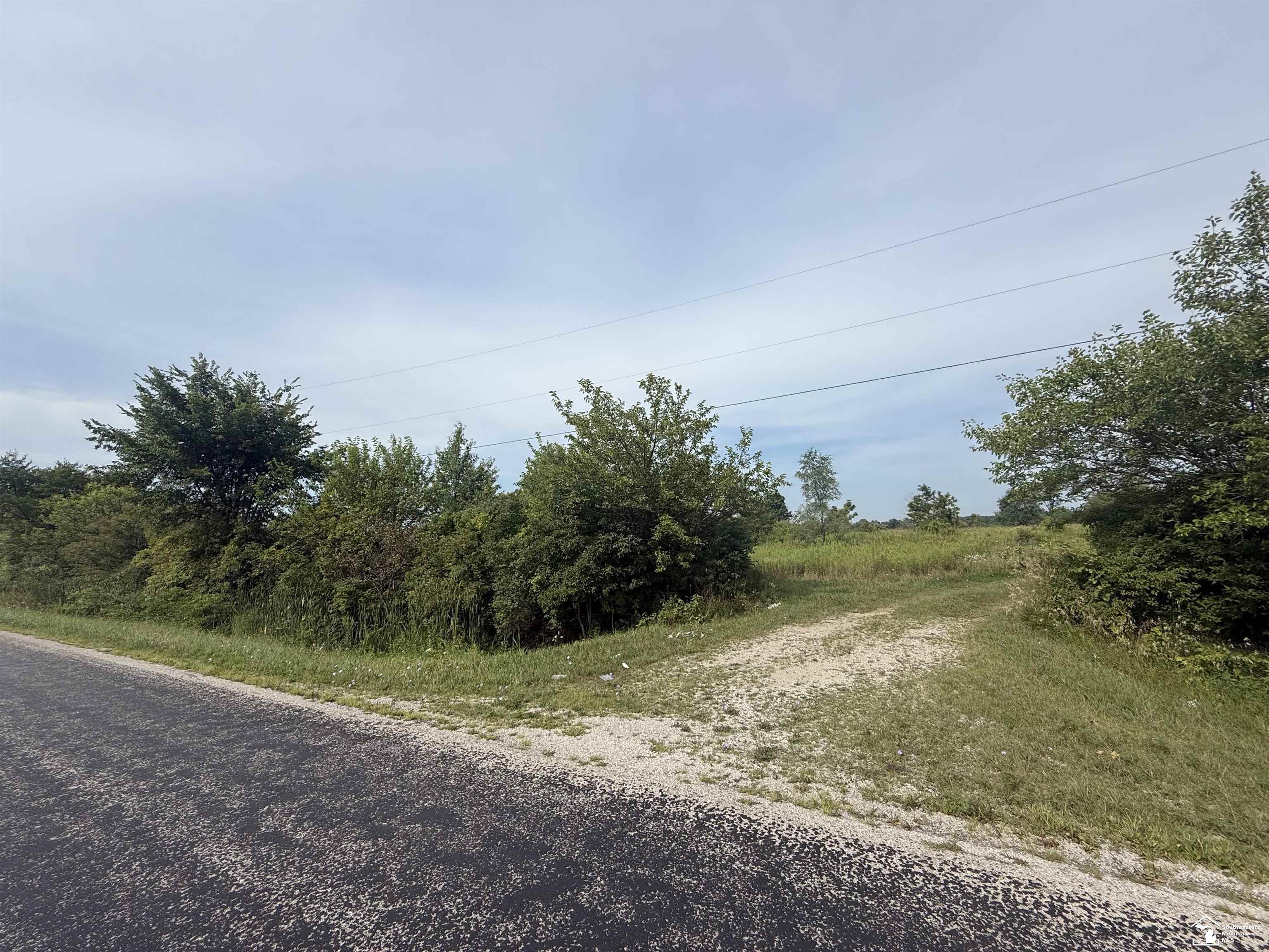 0 Wilcox Road Dundee, MI 48131 - Photo 6 of 20
