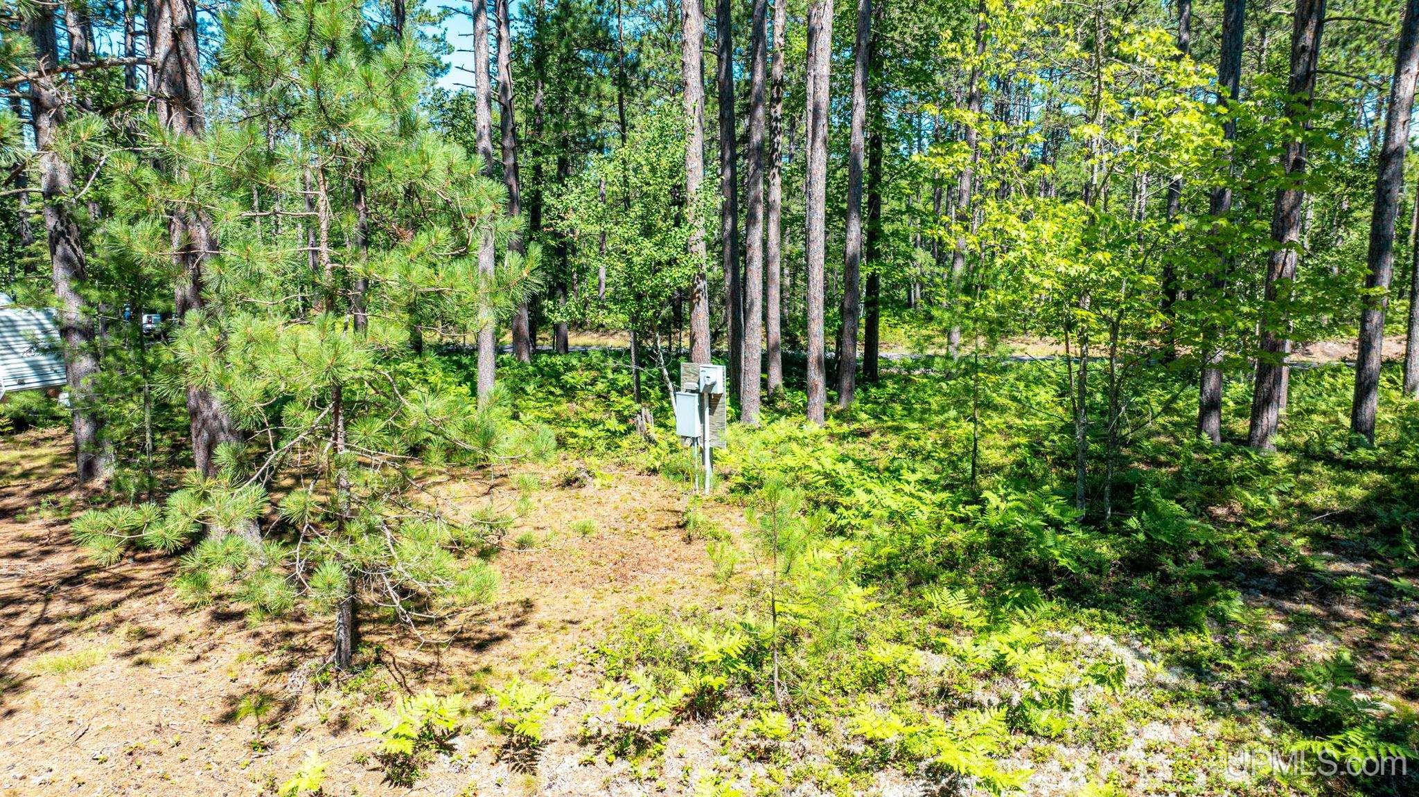 Lot 62 Little Rice Lake Road Lake Linden, MI 49945 - Photo 25 of 52 Gallery Image 25