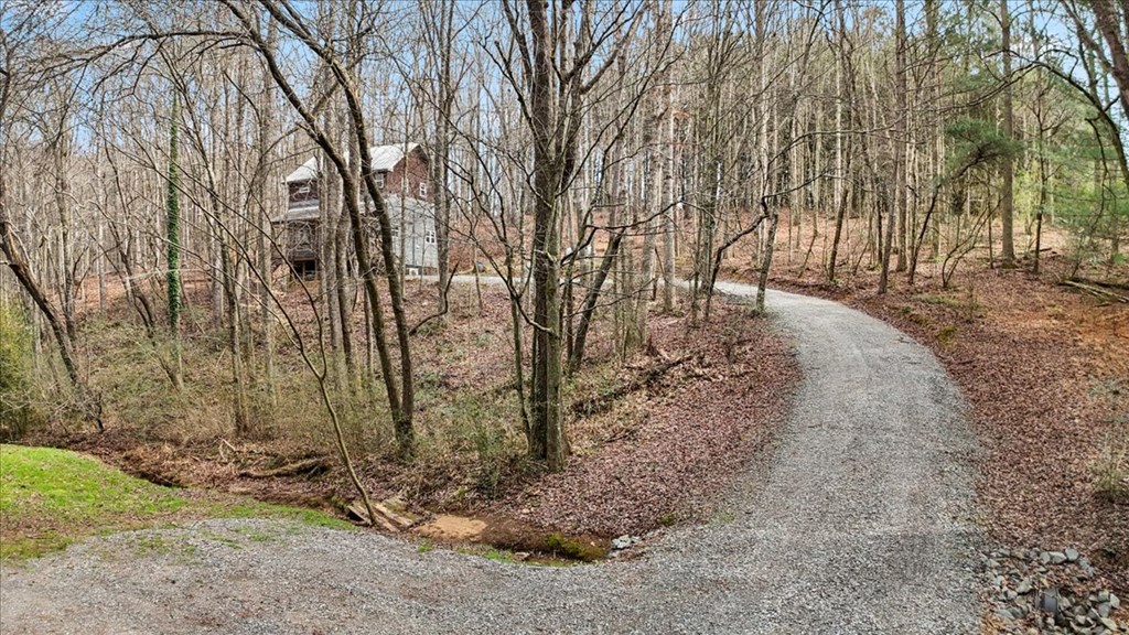 2671 Knight Road Ellijay, GA 30540 - Photo 4 of 30