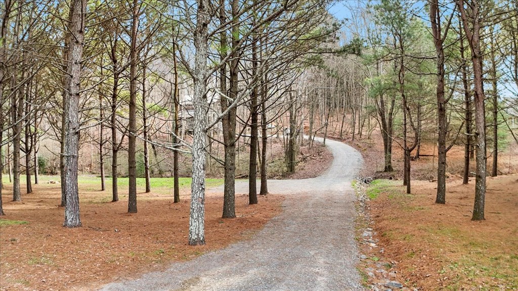 2671 Knight Road Ellijay, GA 30540 - Photo 5 of 30