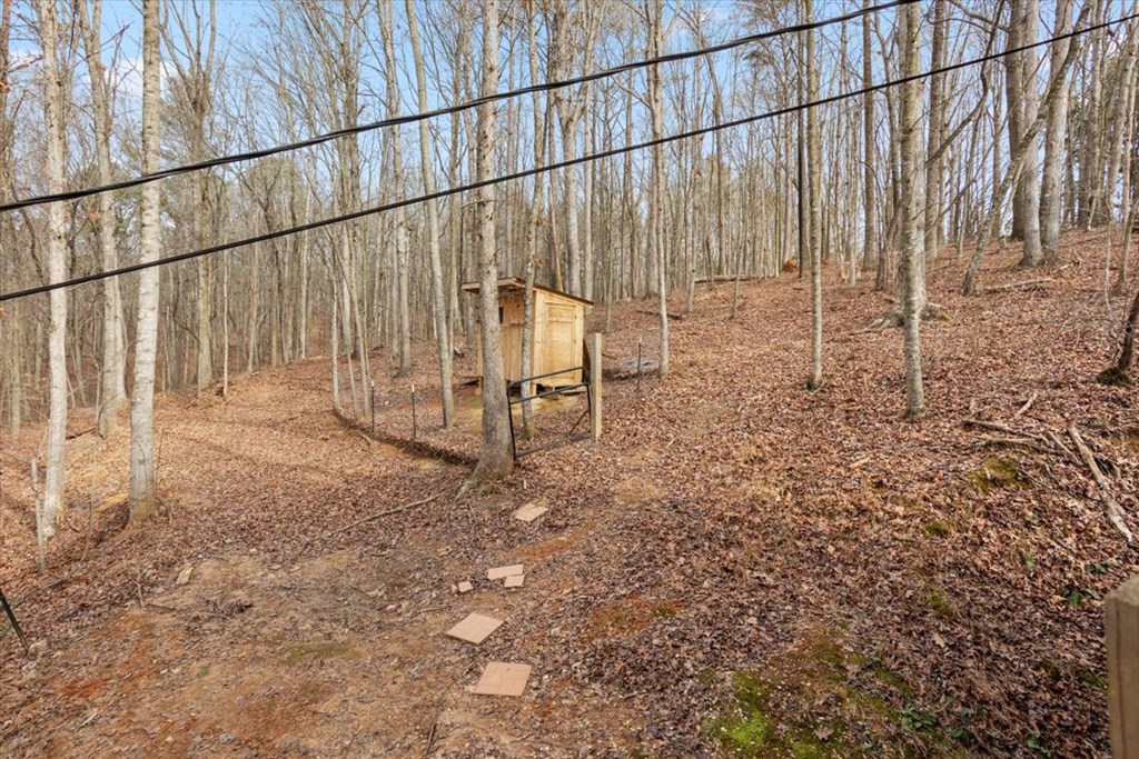 2671 Knight Road Ellijay, GA 30540 - Photo 7 of 30