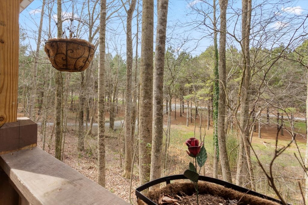 2671 Knight Road Ellijay, GA 30540 - Photo 10 of 30