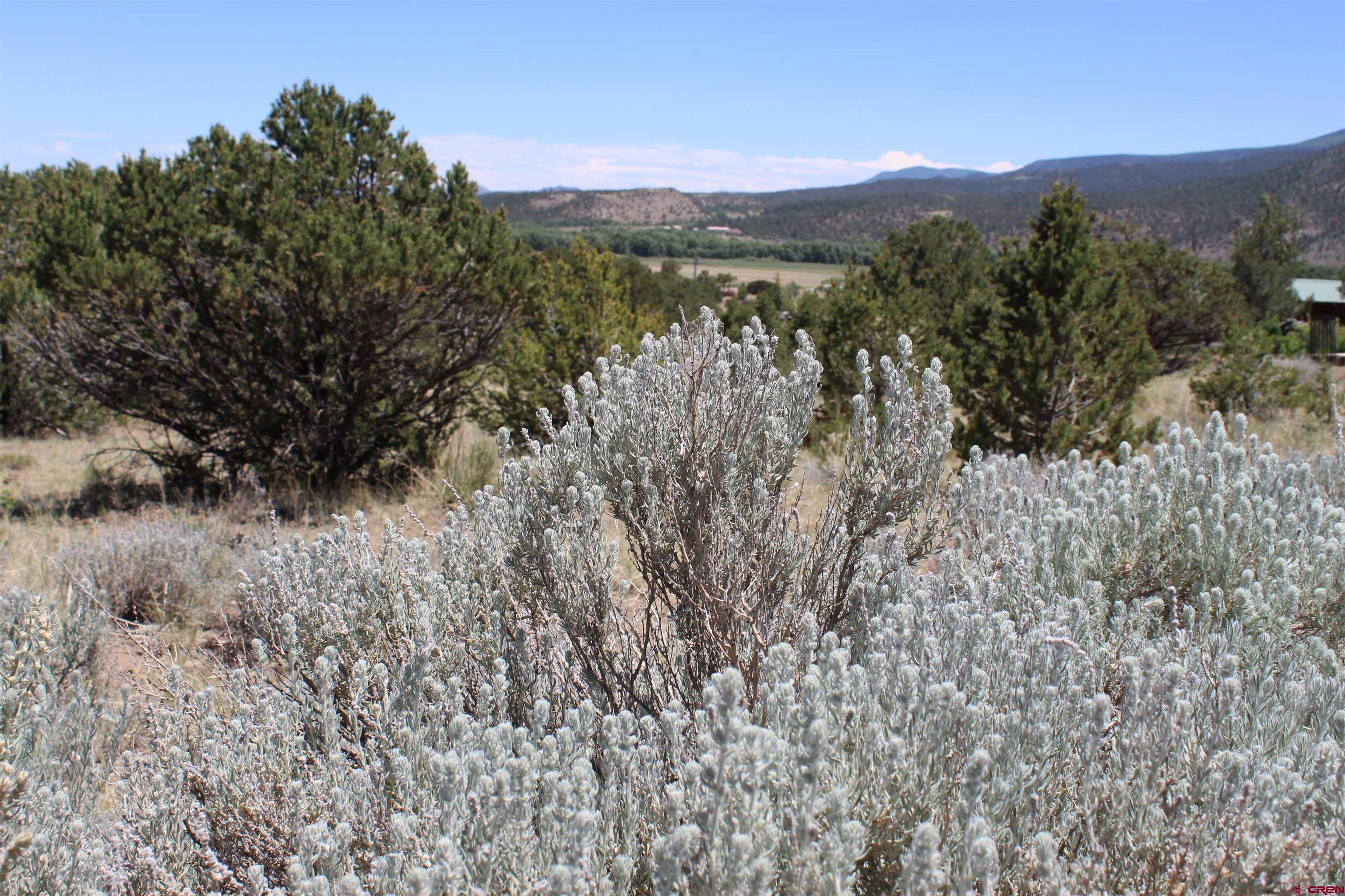 458 Kit Carson Road South Fork, CO 81154 - Photo 11 of 17 Gallery Image 11