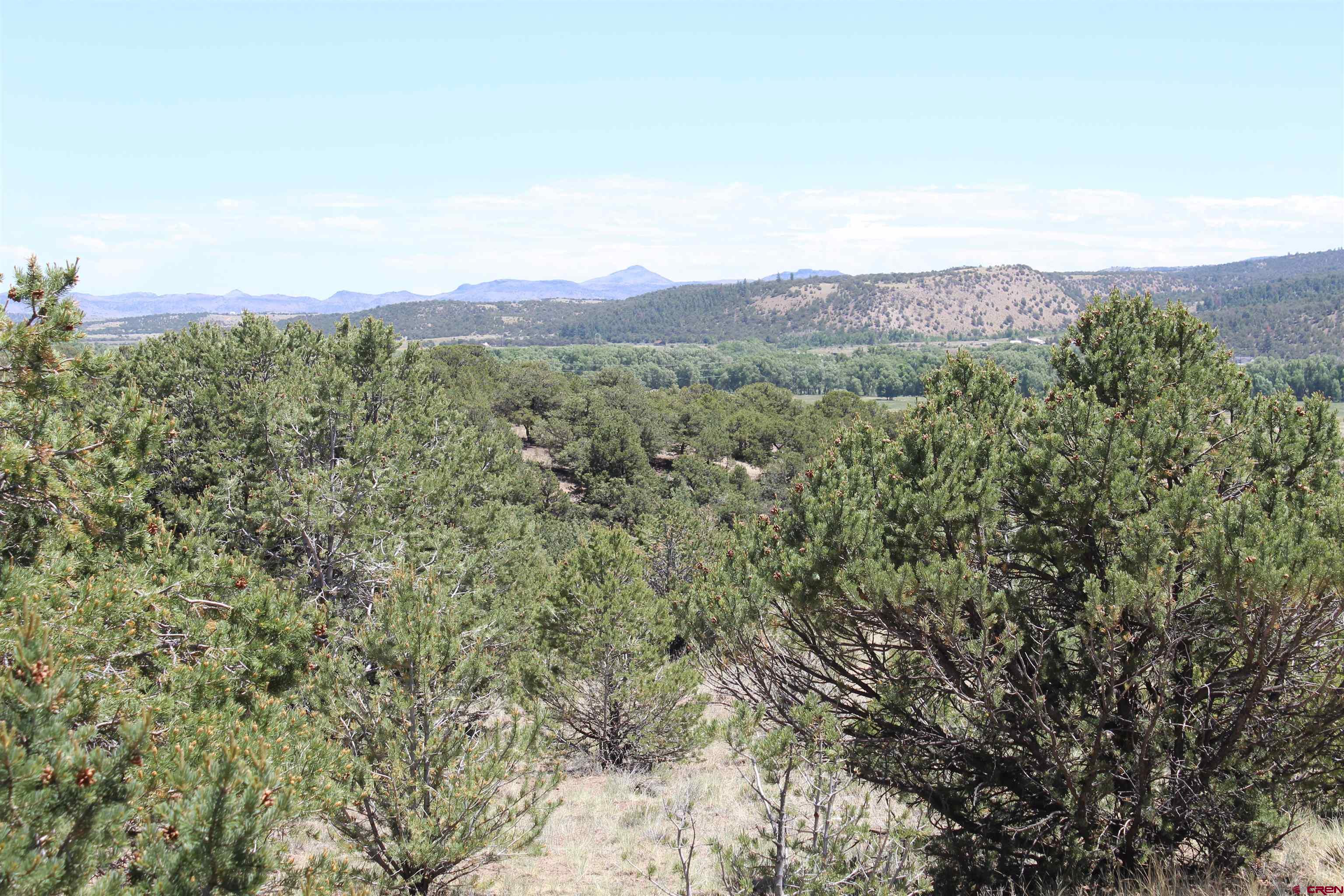 458 Kit Carson Road South Fork, CO 81154 - Photo 12 of 17 Gallery Image 12