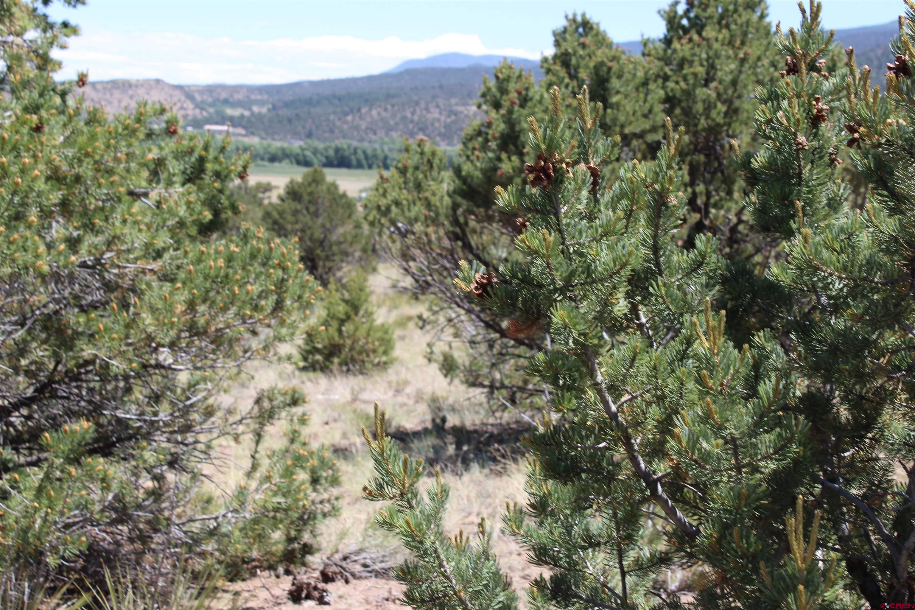 458 Kit Carson Road South Fork, CO 81154 - Photo 15 of 17 Gallery Image 15