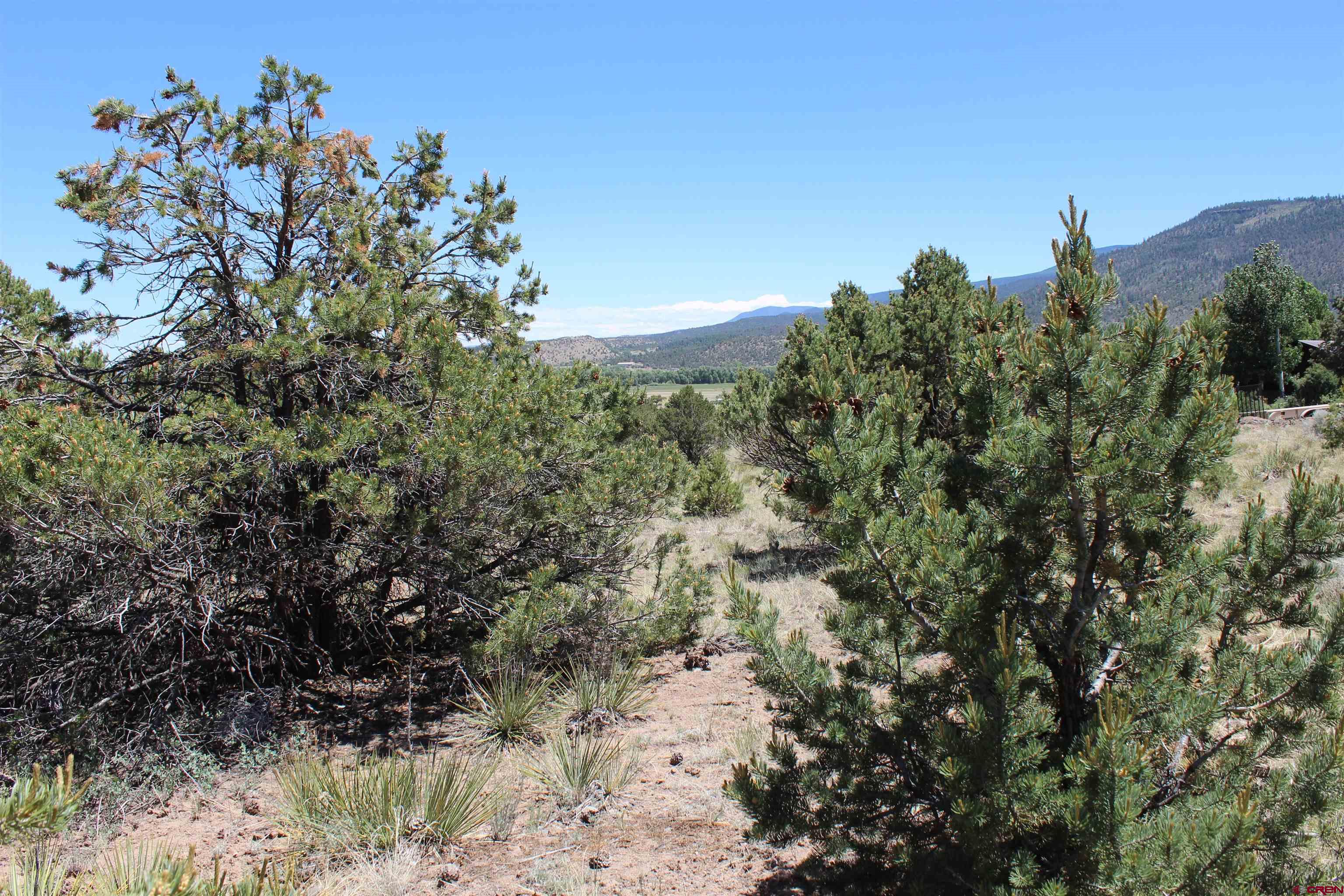 458 Kit Carson Road South Fork, CO 81154 - Photo 16 of 17 Gallery Image 16