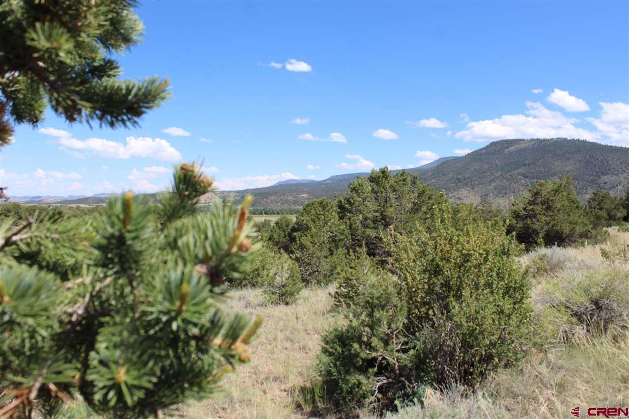 458 Kit Carson Road South Fork, CO 81154 - Photo 3 of 17 Gallery Image 3