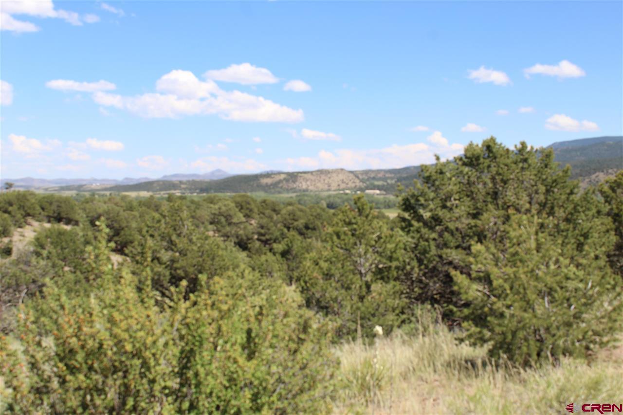 458 Kit Carson Road South Fork, CO 81154 - Photo 8 of 17 Gallery Image 8