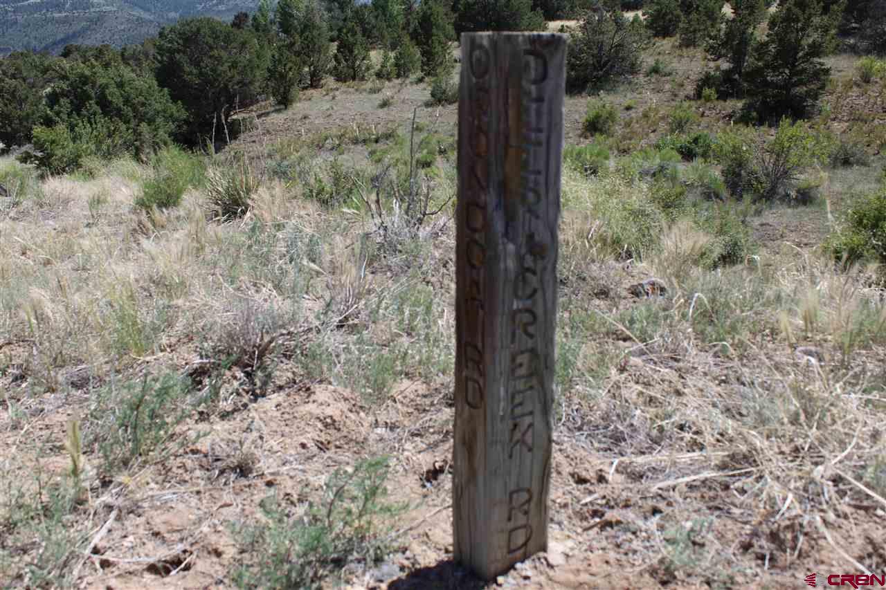 458 Kit Carson Road South Fork, CO 81154 - Photo 9 of 17 Gallery Image 9