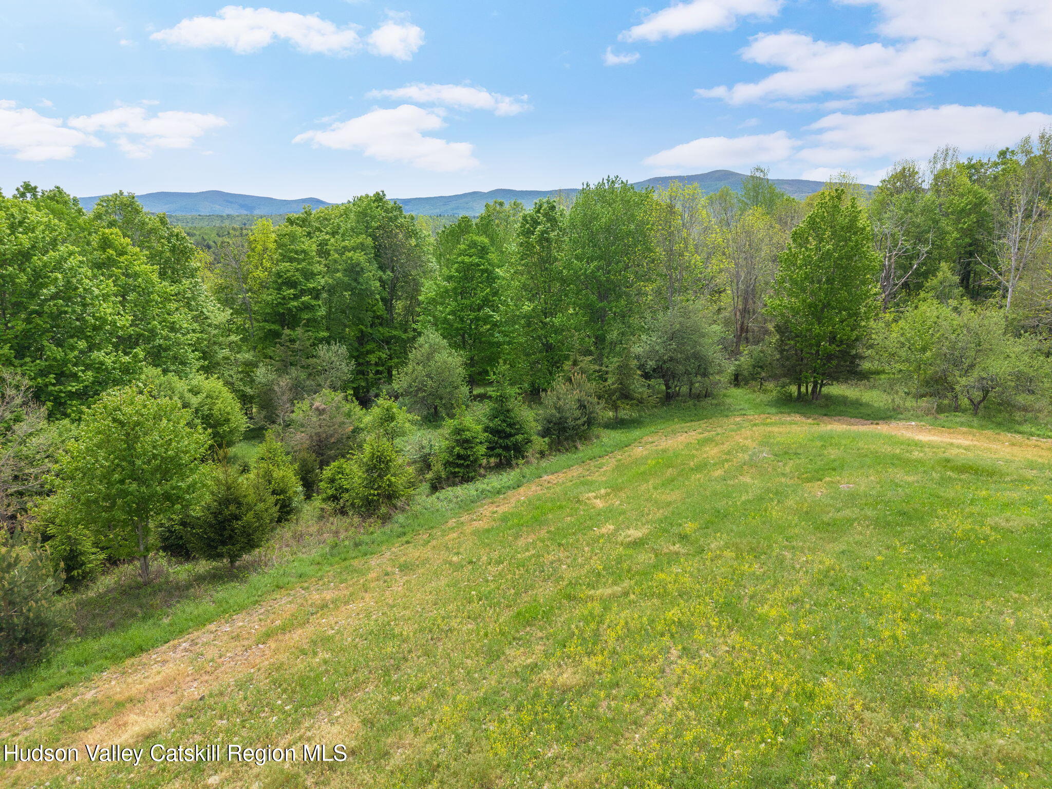 802 Bull Hill Road Gilboa, NY 12076 - Photo 4 of 43 40-802BullHIllRd_40