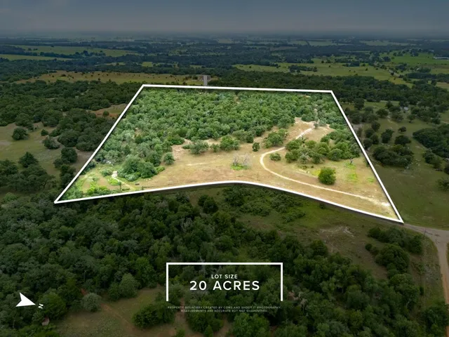 a view of a back yard