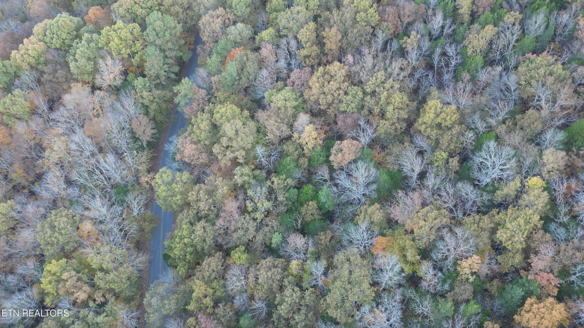 0 Turners Bend Road McMinnville, TN 37110 - Photo 9 of 15