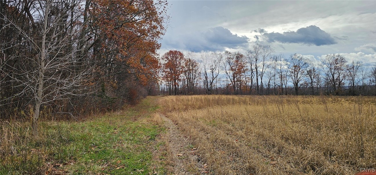 East Lake Road Geneva, NY 14456 - Photo 25 of 31