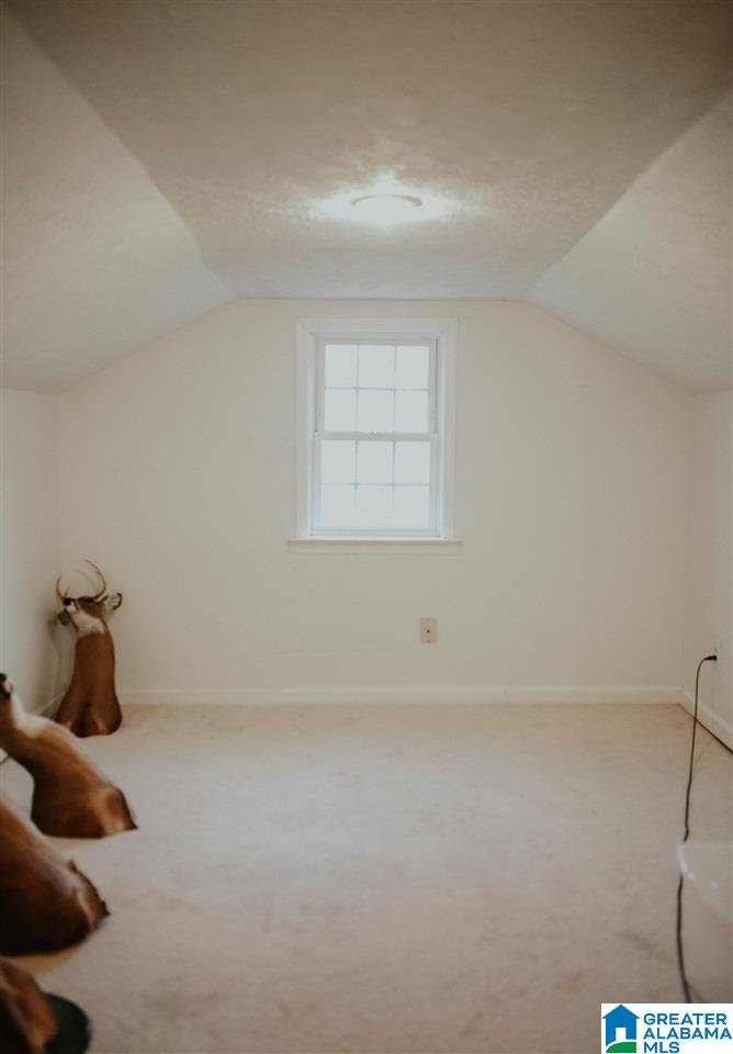110 Llama Road Jacksonville, AL 36265 - Photo 25 of 49