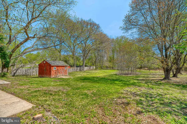 a view of a yard with a trees