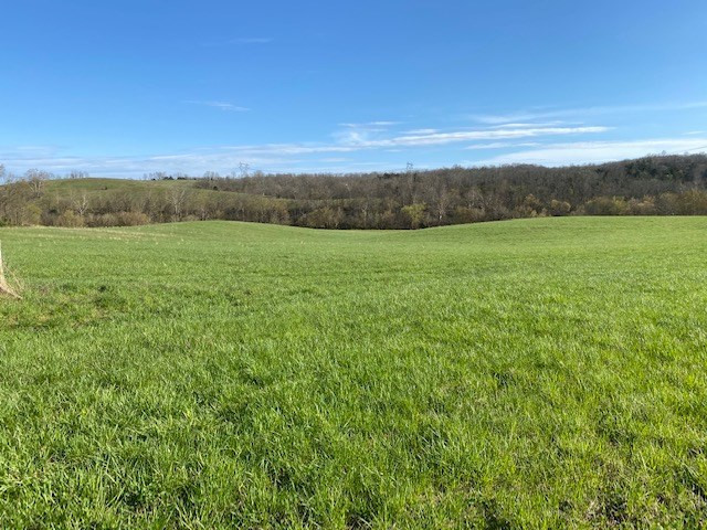 2364 Santa Fe Road Brooksville, KY 41004 - Photo 9 of 21 Gallery Image 9