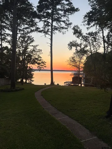 a view of a field with a tree in the background