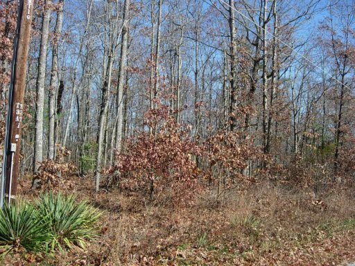4047 Sioux Road Crossville, TN 38572 - Photo 1 of 1 Primary Photo