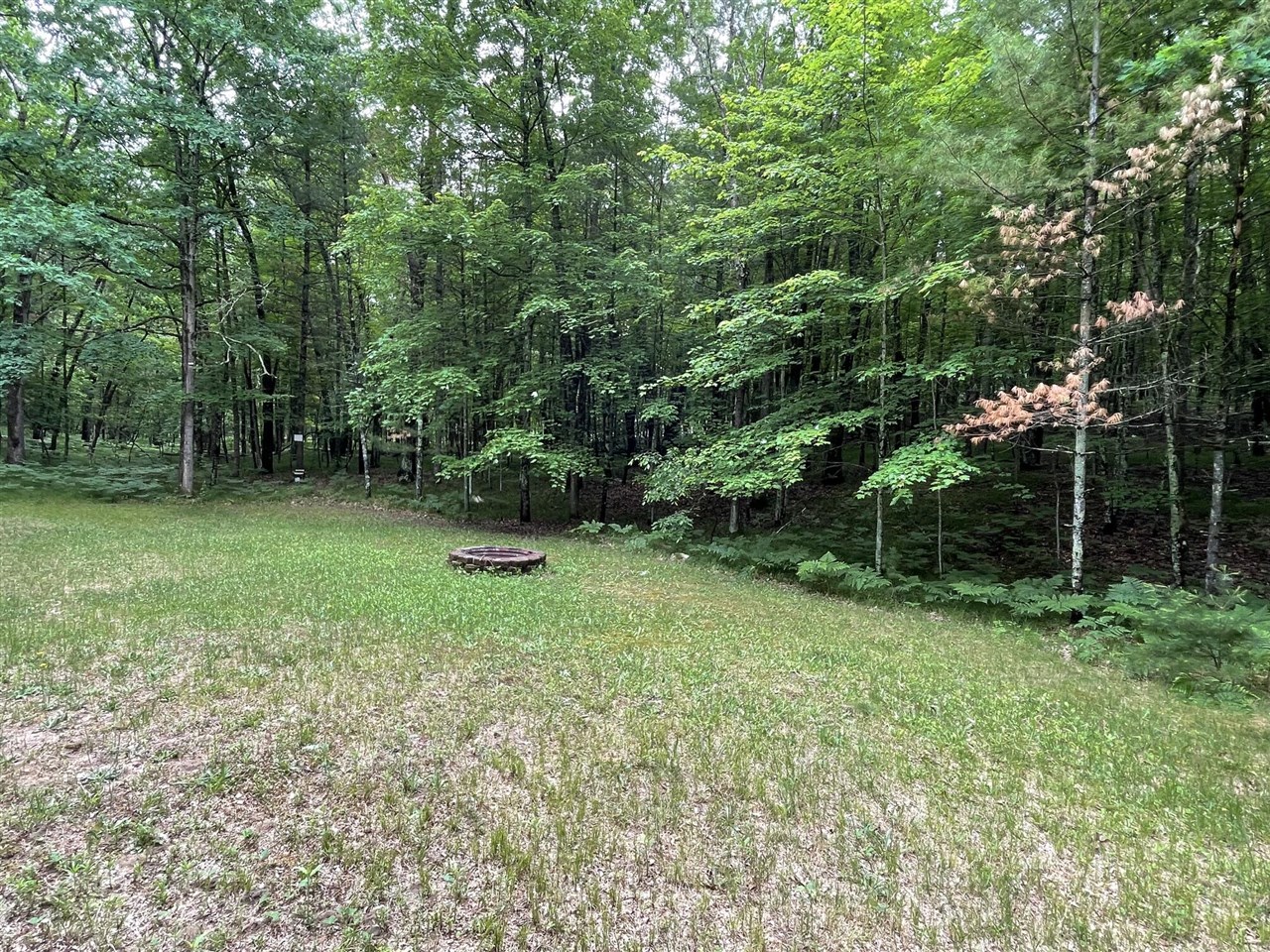 8725 West River Road Irons, MI 49644 - Photo 29 of 37