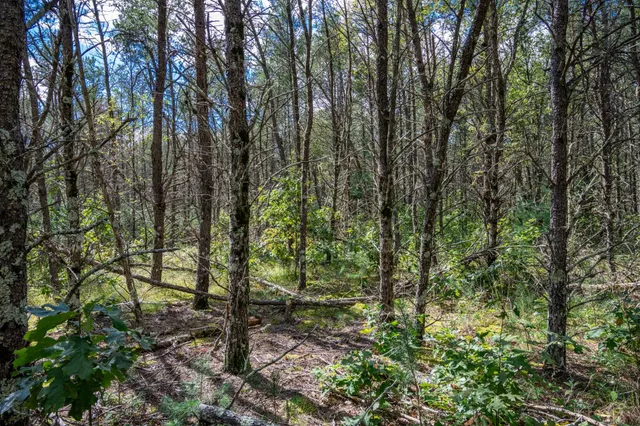 $150,000 | W6993 23rd Street, Necedah, WI 54646