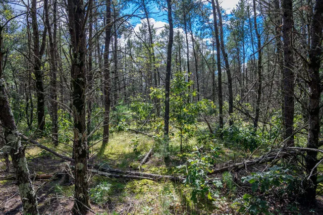 $150,000 | W6993 23rd Street, Necedah, WI 54646