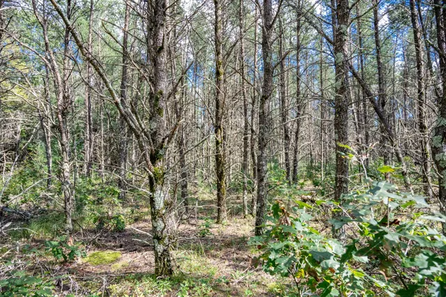 $150,000 | W6993 23rd Street, Necedah, WI 54646