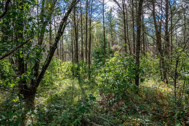 $150,000 | W6993 23rd Street, Necedah, WI 54646