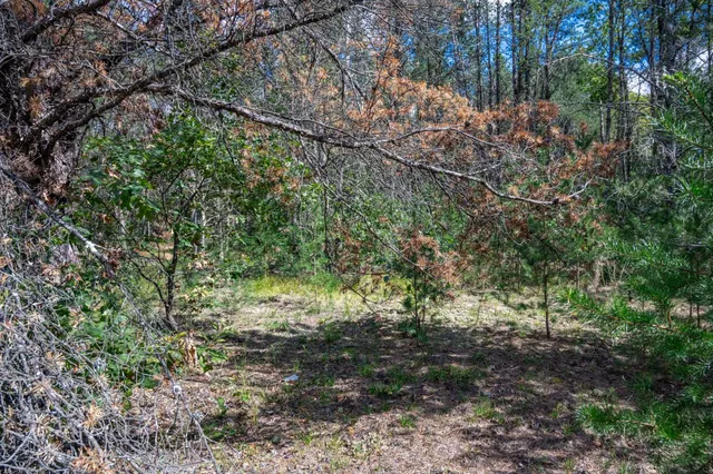 $150,000 | W6993 23rd Street, Necedah, WI 54646