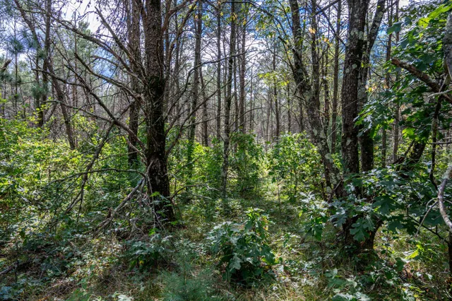 $150,000 | W6993 23rd Street, Necedah, WI 54646