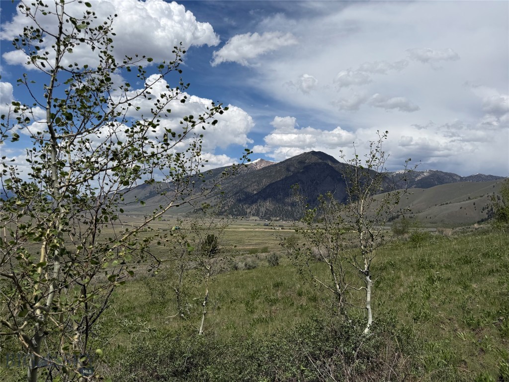 2-4a Continental Divide Road Cameron, MT 59720 - Photo 17 of 37 Gallery Image 17