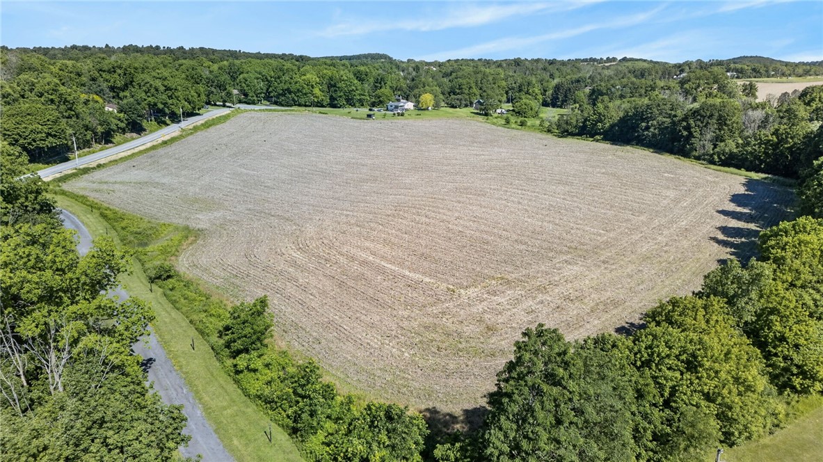 Cramer Road Canandaigua, NY 14424 - Photo 19 of 47