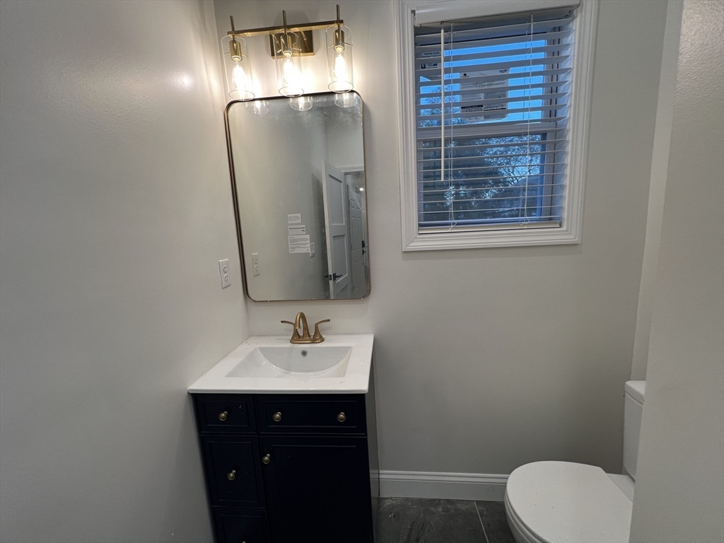 16 Harriet Street, Unit 1 Boston, MA 02135 - Photo 23 of 29 a bathroom with a sink vanity and toilet