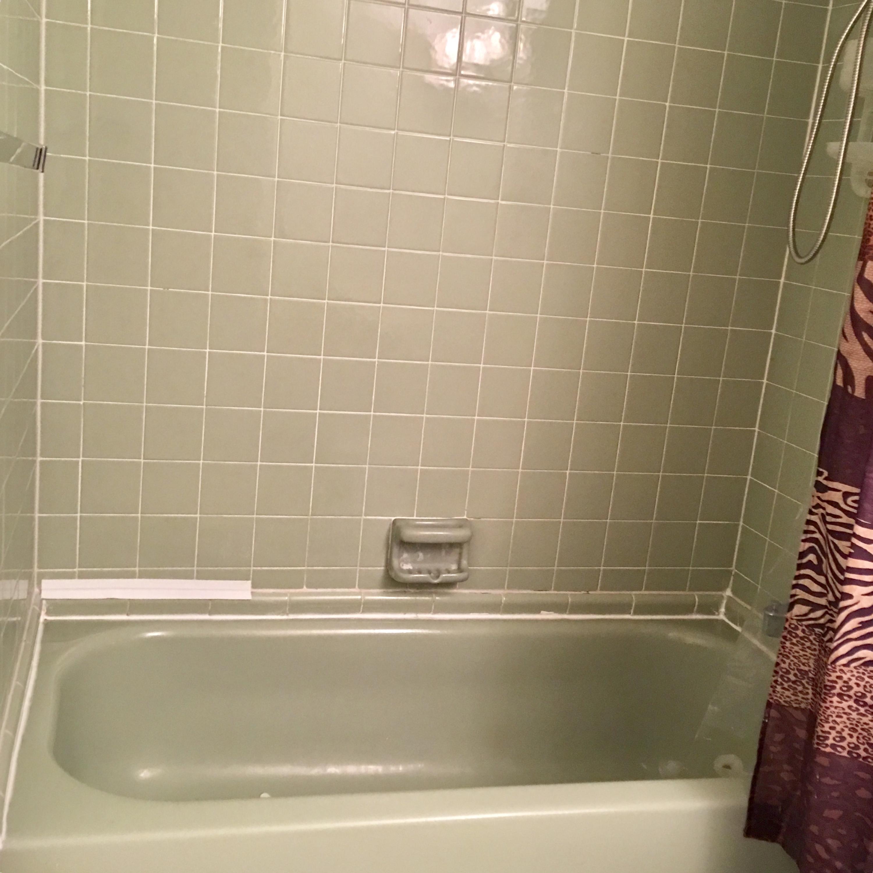 1600 Dover Road, Unit 213B Delray Beach, FL 33445 - Photo 10 of 20 BATHROOM