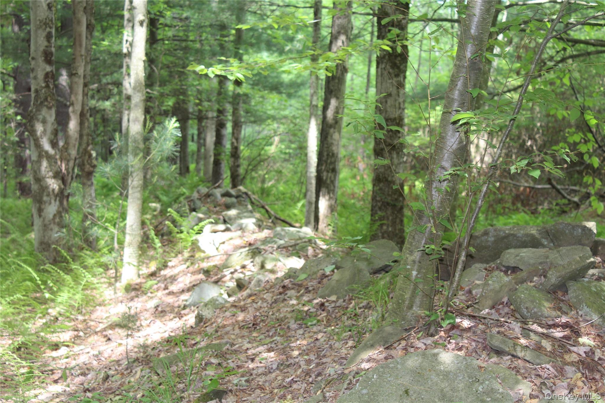 624 County Road Fremont Center, NY 12736 - Photo 28 of 40 Wooded lot featuring mature trees and a natural stone wall