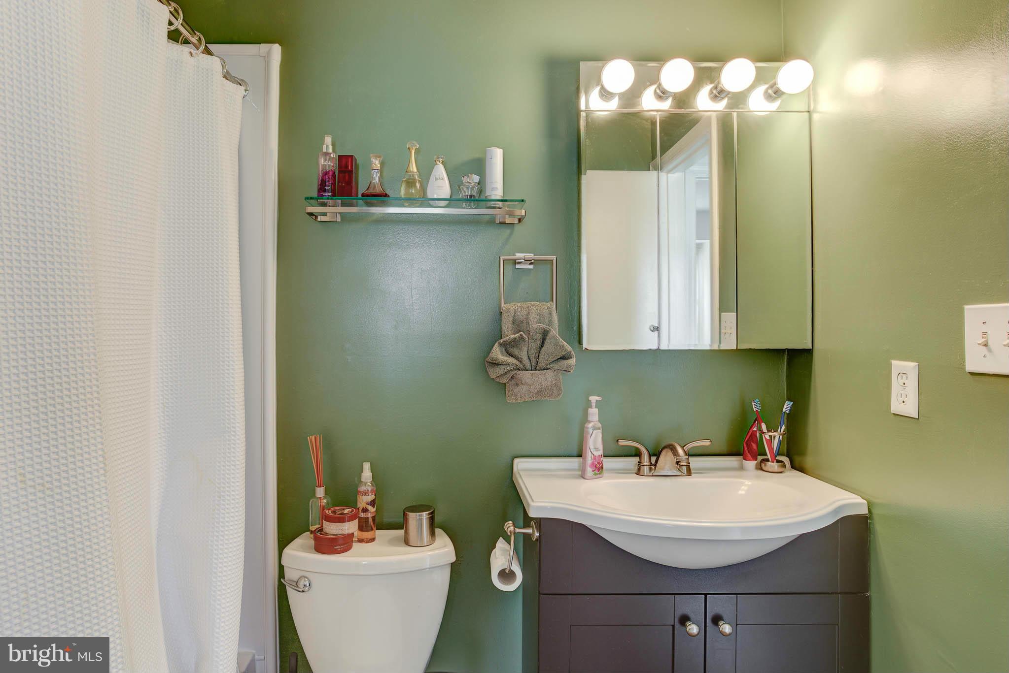 12136 Turnstone Court, Unit 84 Silver Spring, MD 20904 - Photo 15 of 30 Renovated Master Bath