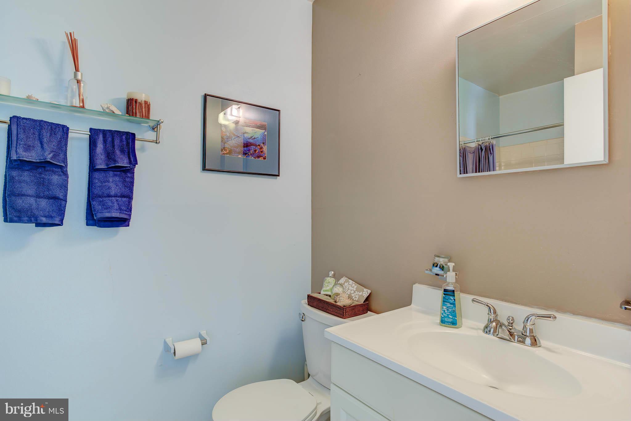 12136 Turnstone Court, Unit 84 Silver Spring, MD 20904 - Photo 19 of 30 Second Master Bedroom Bath