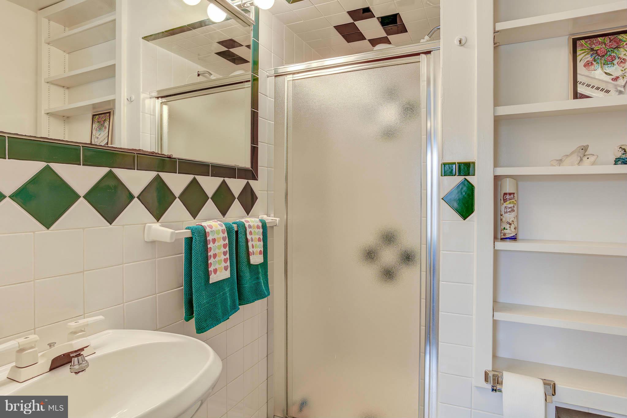 12136 Turnstone Court, Unit 84 Silver Spring, MD 20904 - Photo 24 of 30 Lower level full Bath