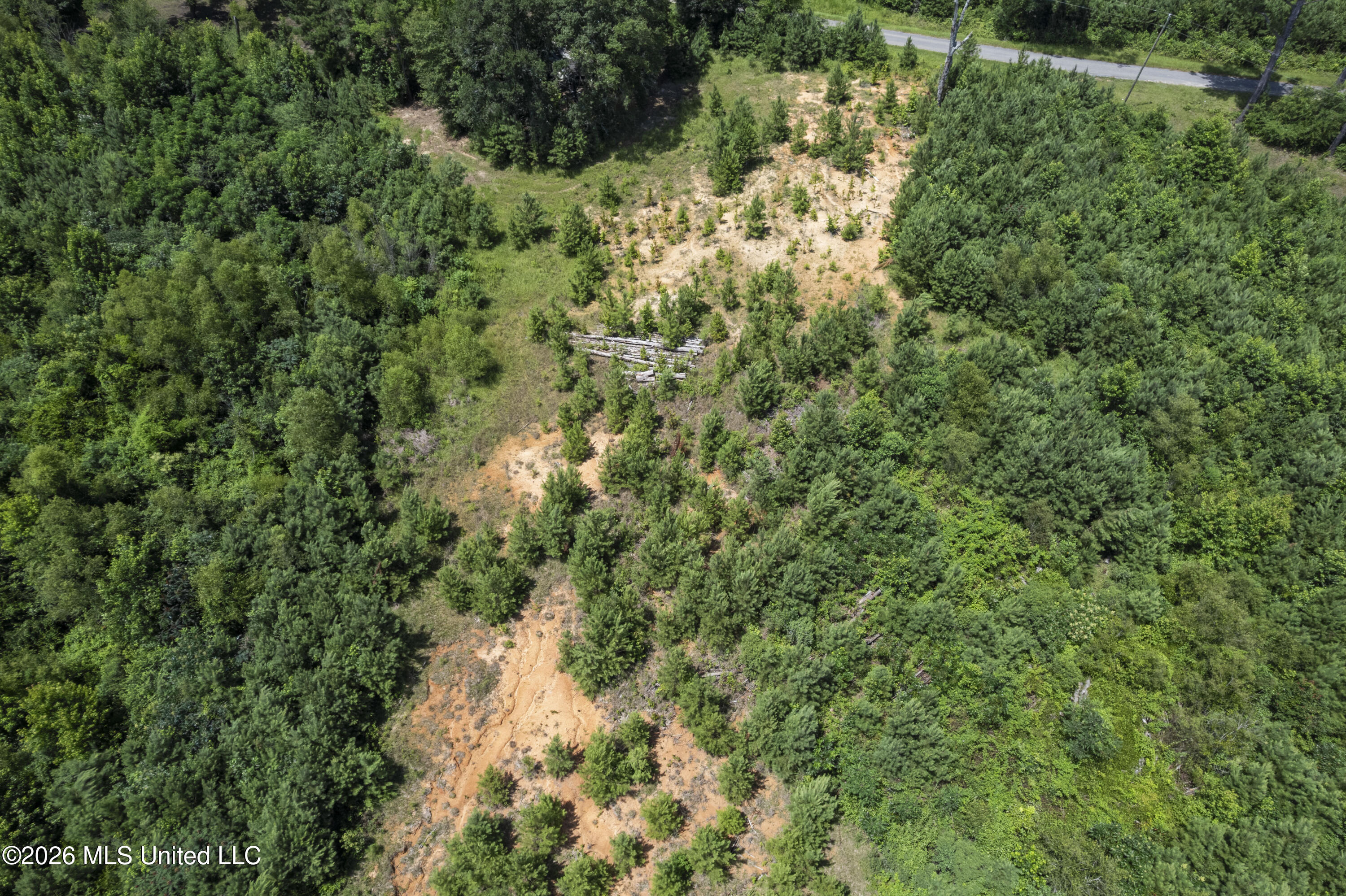 13 Co Road Louin, MS 39338 - Photo 27 of 29 DJI_0326