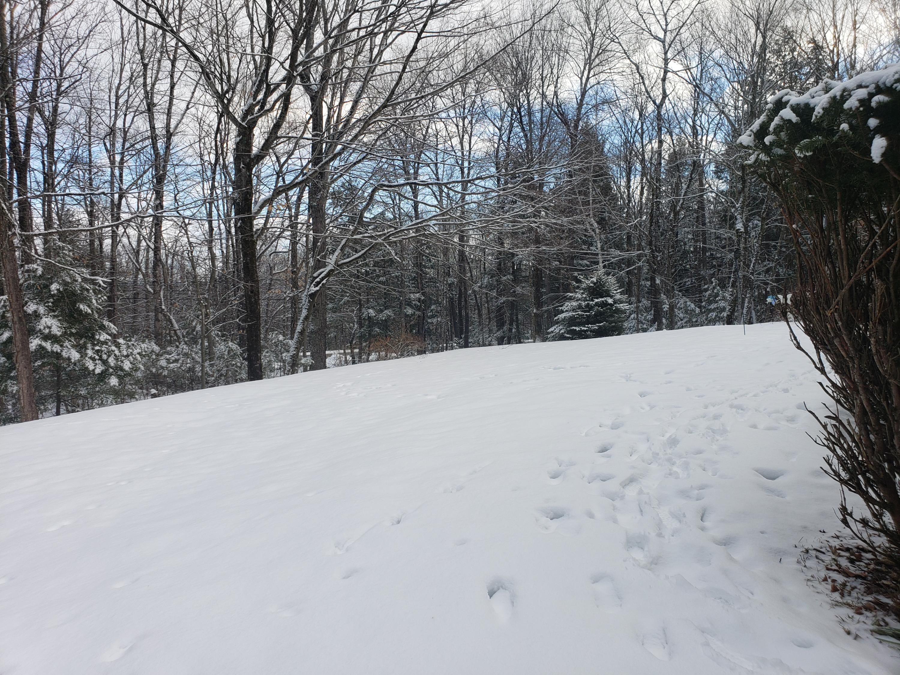 480 Greenwood Road Norway, ME 04268 - Photo 7 of 43 yard
