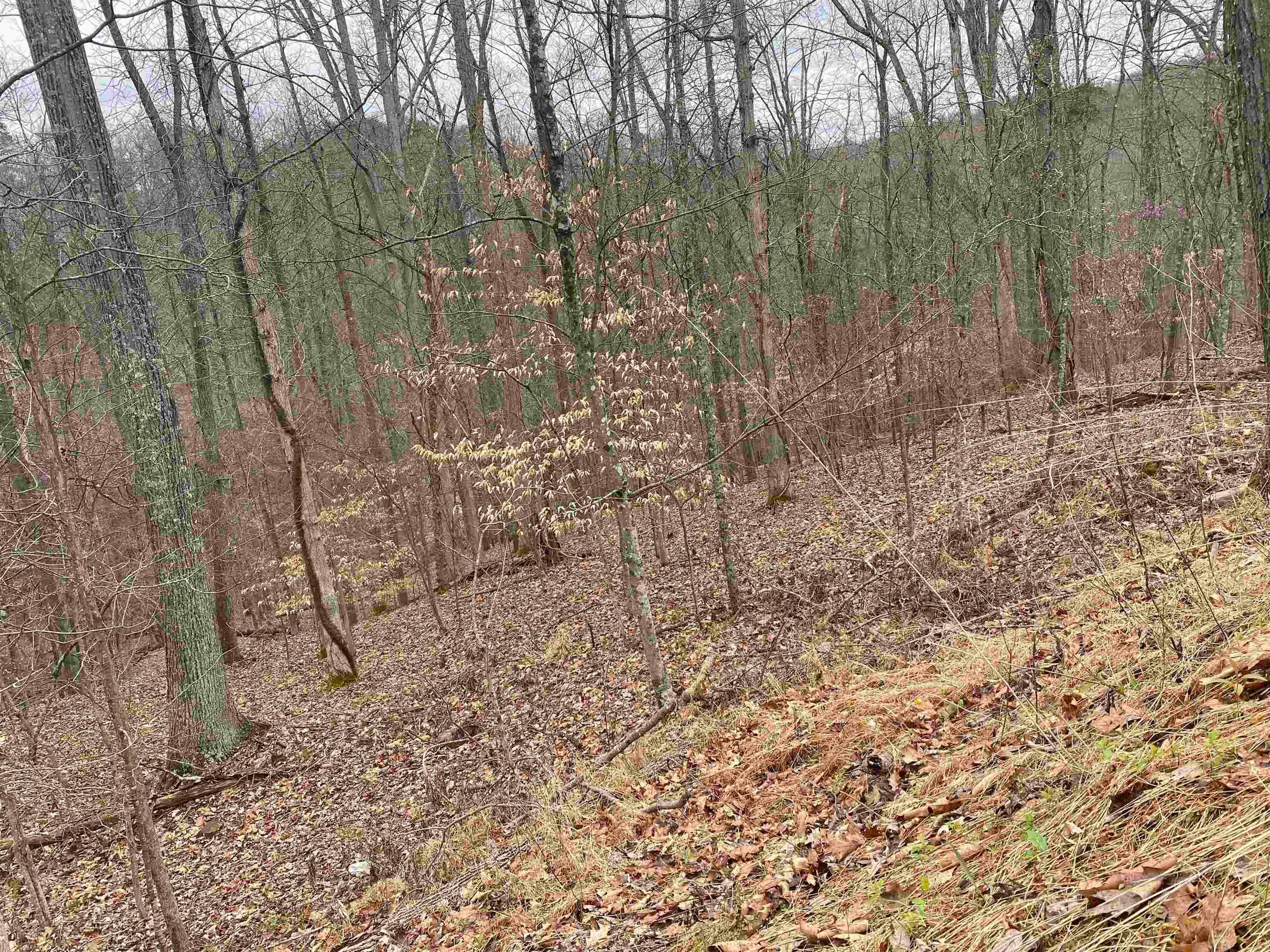701 Tower Road Hurricane, WV 25526 - Photo 13 of 20 Gallery Image 13