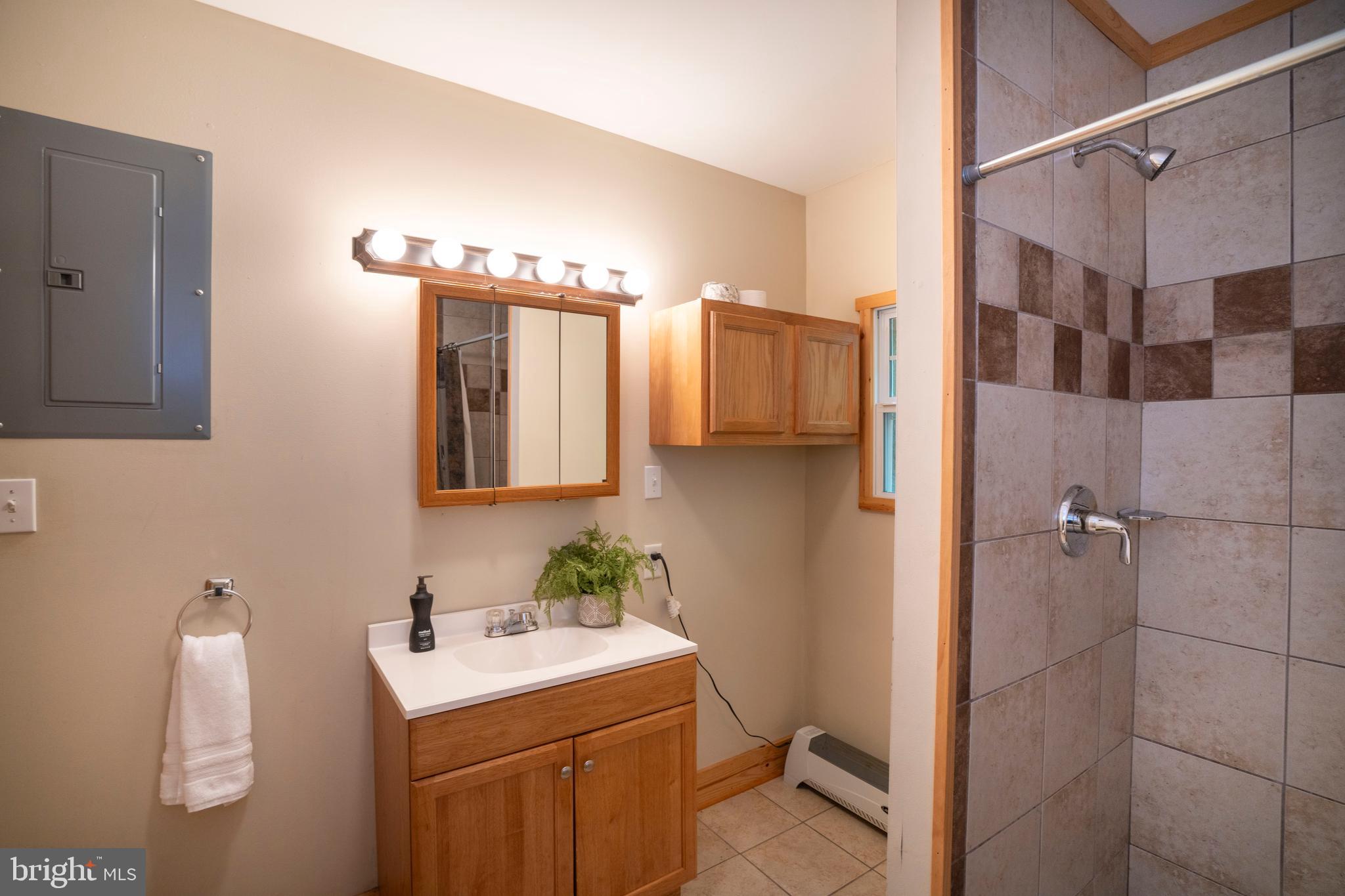385 Elk Creek Road Aaronsburg, PA 16820 - Photo 37 of 71 a bathroom with a sink vanity and mirror