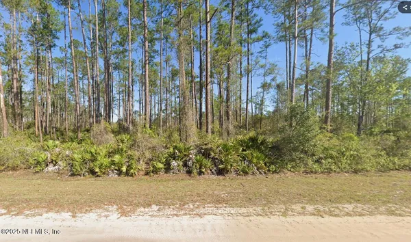 $16,500 | 146 Pine Cone Drive, Georgetown, FL 32139