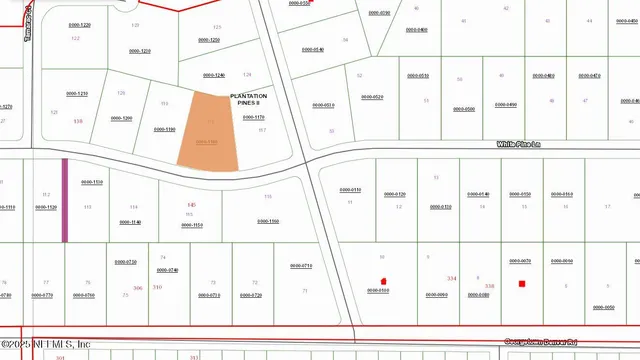 a black and white photo of a painting