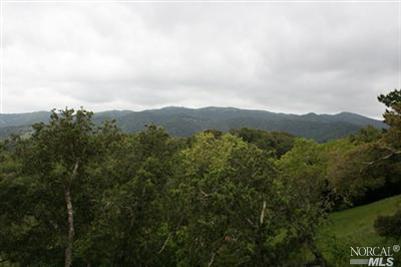 65 Half Moon Road Novato, CA 94947 - Photo 1 of 1 an aerial view of houses covered in trees