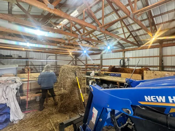 $379,900 | 8920 16th Street Southwest, Backus, MN 56435