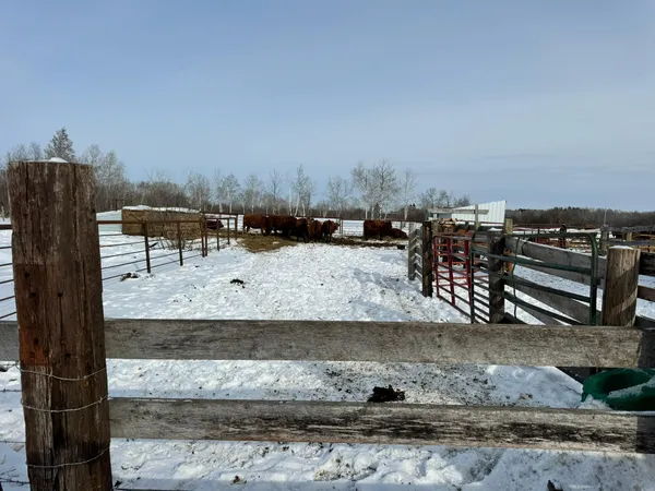 $379,900 | 8920 16th Street Southwest, Backus, MN 56435