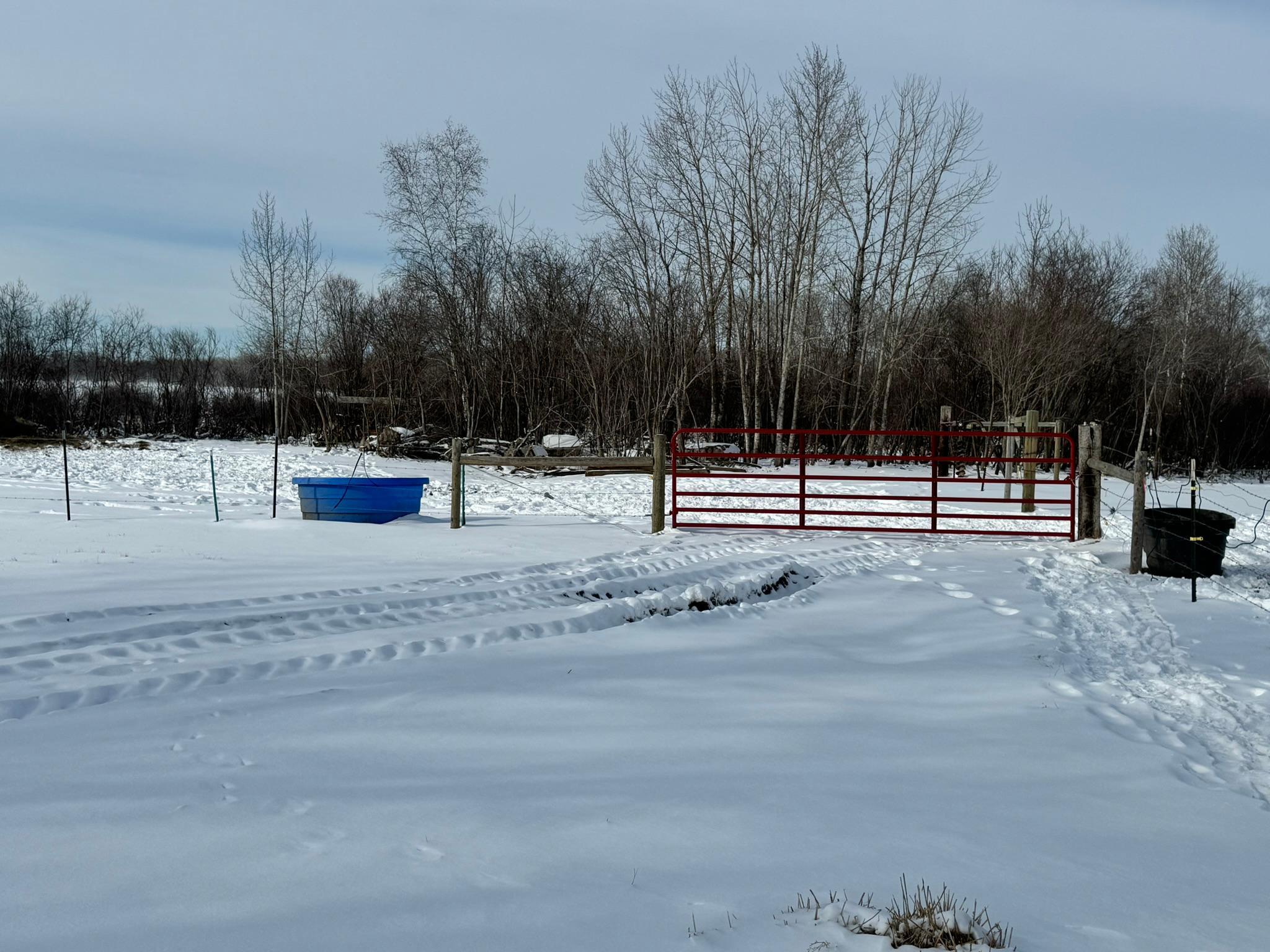 8920 16th Street Southwest Backus, MN 56435 - Photo 39 of 54