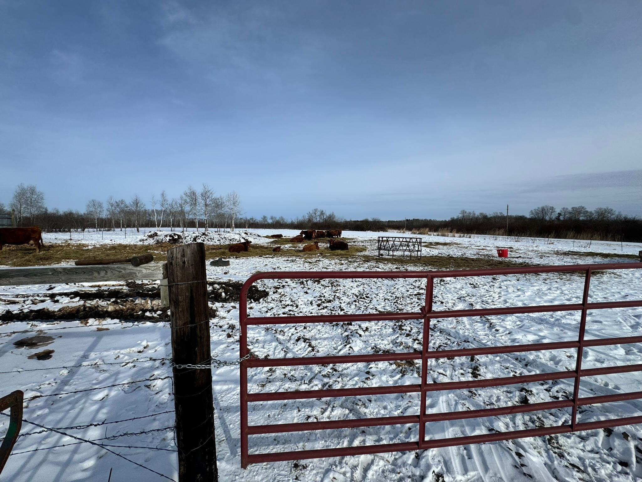 8920 16th Street Southwest Backus, MN 56435 - Photo 43 of 54