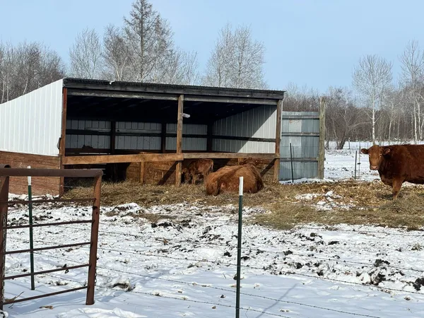 $379,900 | 8920 16th Street Southwest, Backus, MN 56435