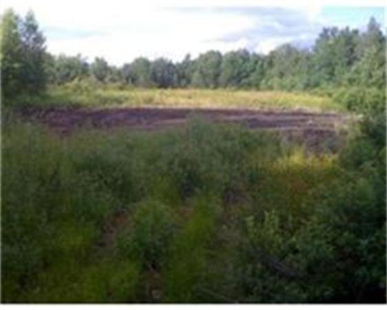 642 Bear Swamp Road Ashfield, MA 01330 - Photo 2 of 4 a view of outdoor space and yard